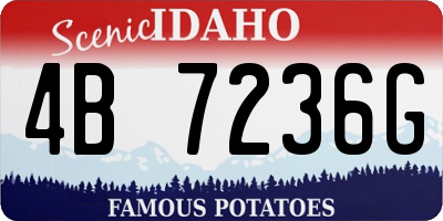 ID license plate 4B7236G