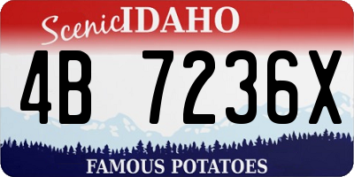 ID license plate 4B7236X