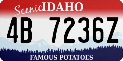ID license plate 4B7236Z