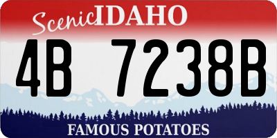 ID license plate 4B7238B