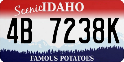 ID license plate 4B7238K