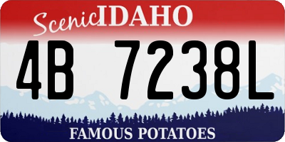 ID license plate 4B7238L