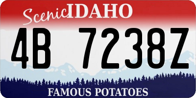 ID license plate 4B7238Z