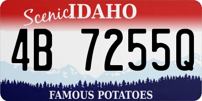 ID license plate 4B7255Q
