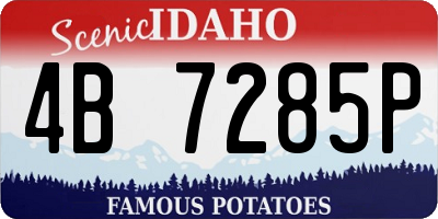 ID license plate 4B7285P