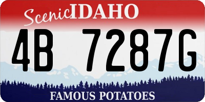 ID license plate 4B7287G