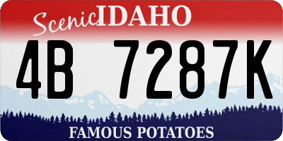 ID license plate 4B7287K