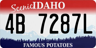 ID license plate 4B7287L