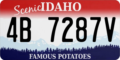 ID license plate 4B7287V