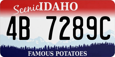 ID license plate 4B7289C