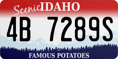 ID license plate 4B7289S