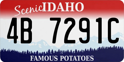 ID license plate 4B7291C