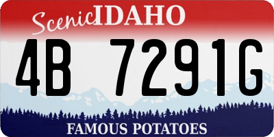 ID license plate 4B7291G