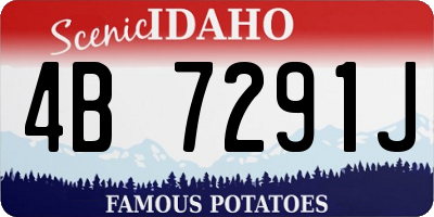 ID license plate 4B7291J