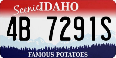ID license plate 4B7291S