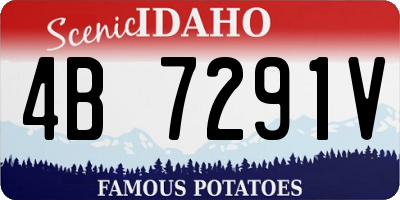 ID license plate 4B7291V
