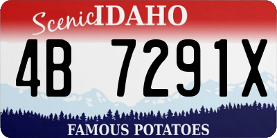 ID license plate 4B7291X