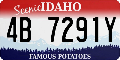 ID license plate 4B7291Y