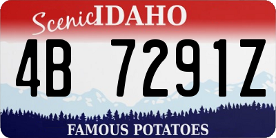ID license plate 4B7291Z