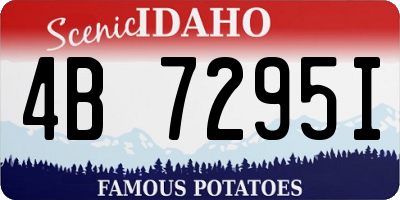 ID license plate 4B7295I