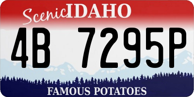 ID license plate 4B7295P