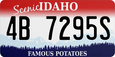 ID license plate 4B7295S