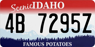 ID license plate 4B7295Z