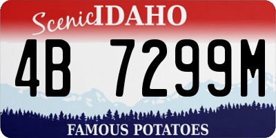 ID license plate 4B7299M