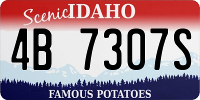ID license plate 4B7307S