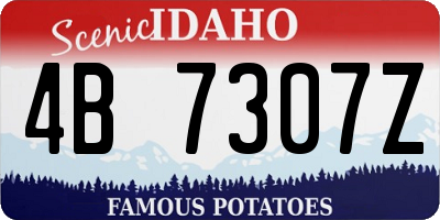 ID license plate 4B7307Z