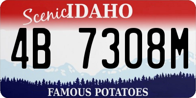 ID license plate 4B7308M