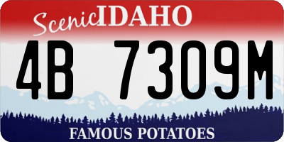 ID license plate 4B7309M