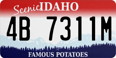 ID license plate 4B7311M