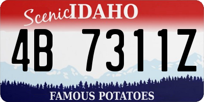 ID license plate 4B7311Z