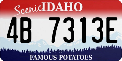 ID license plate 4B7313E