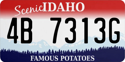 ID license plate 4B7313G
