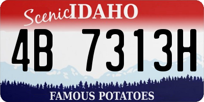 ID license plate 4B7313H