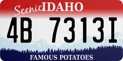 ID license plate 4B7313I