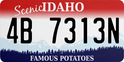 ID license plate 4B7313N