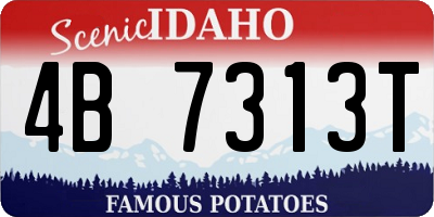 ID license plate 4B7313T