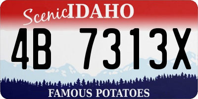 ID license plate 4B7313X