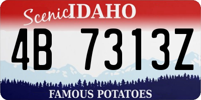 ID license plate 4B7313Z