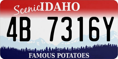 ID license plate 4B7316Y