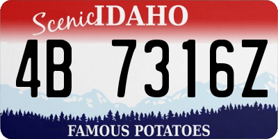 ID license plate 4B7316Z