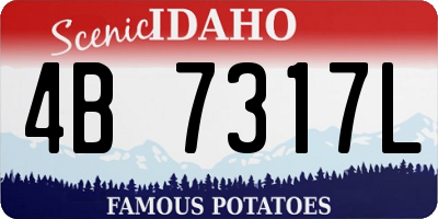 ID license plate 4B7317L