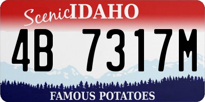 ID license plate 4B7317M
