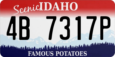 ID license plate 4B7317P