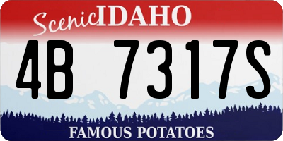 ID license plate 4B7317S