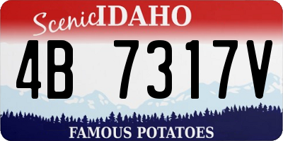 ID license plate 4B7317V