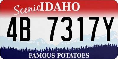 ID license plate 4B7317Y